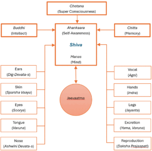 OrangeNews9