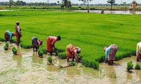 Enough of the Paddy Blame Game 3 OrangeNews9 OrangeNews9