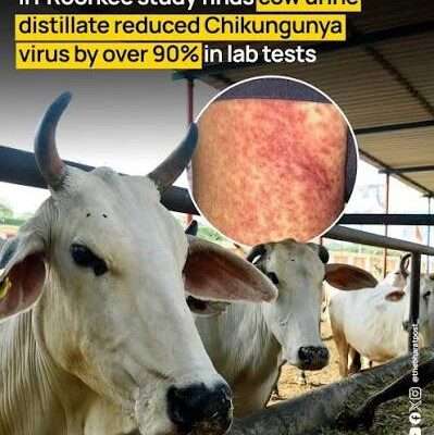 OrangeNews9