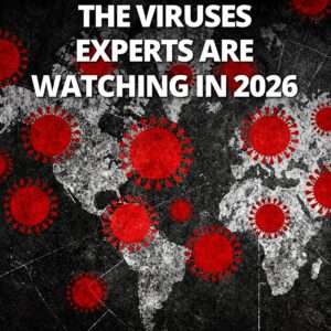 COVID-19 is back in the news – The lessons of the pandemic 3 OrangeNews9 OrangeNews9