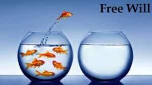 Power of Purushartha – Free Will 4 OrangeNews9 OrangeNews9
