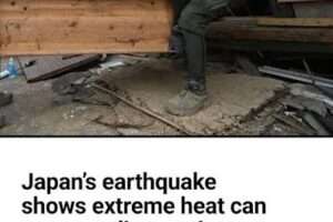 OrangeNews9