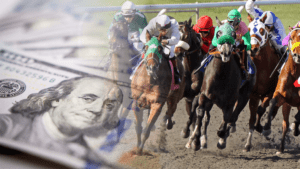 The Handicapper's Illusion 3 OrangeNews9 OrangeNews9