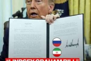 OrangeNews9
