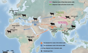 Debunking Aryan Invasion Theory 3 OrangeNews9 OrangeNews9